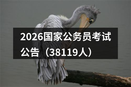 2026国家公务员考试公告（38119人） 图片