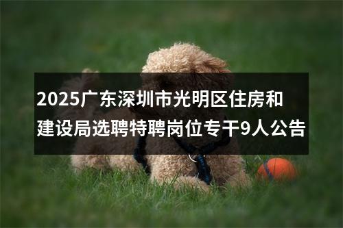 2025广东深圳市光明区住房和建设局选聘特聘岗位专干9人公告 图片