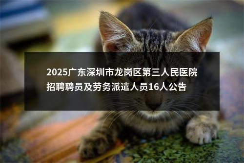 2025广东深圳市龙岗区第三人民医院招聘聘员及劳务派遣人员16人公告 图片