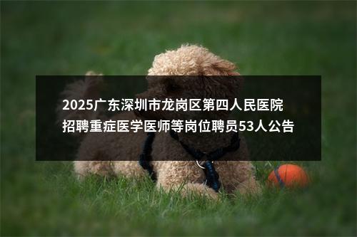 2025广东深圳市龙岗区第四人民医院招聘重症医学医师等岗位聘员53人公告 图片