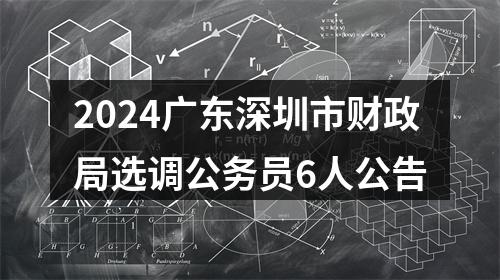 2024广东深圳市财政局选调公务员6人公告 图片