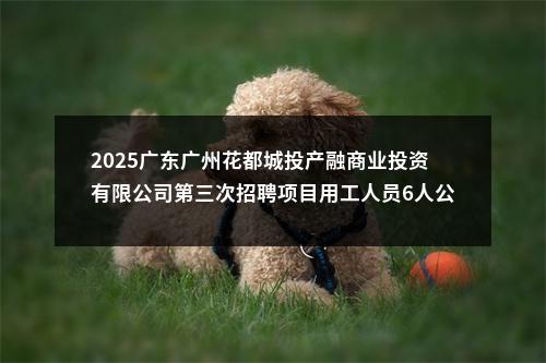 2025广东广州花都城投产融商业投资有限公司第三次招聘项目用工人员6人公告 图片