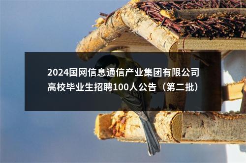 2024国网信息通信产业集团有限公司高校毕业生招聘100人公告（第二批） 图片
