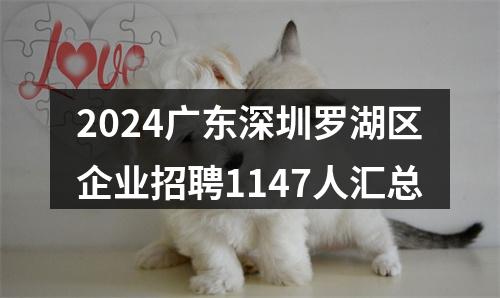 2024广东深圳罗湖区企业招聘1147人汇总 图片
