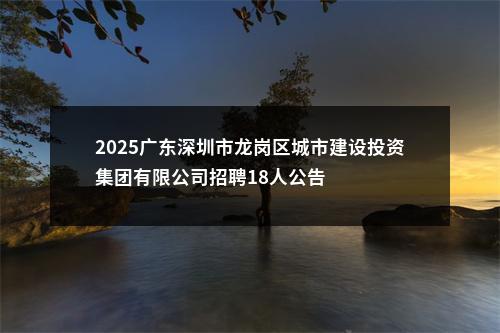 2025广东深圳市龙岗区城市建设投资集团有限公司招聘18人公告 图片