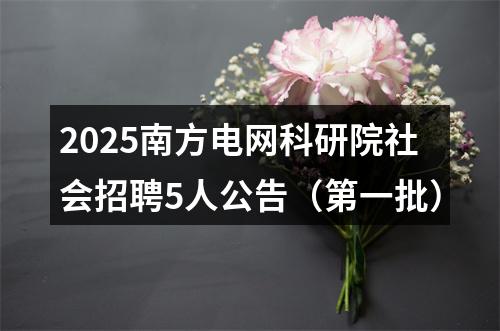 2025南方电网科研院社会招聘5人公告（第一批） 图片