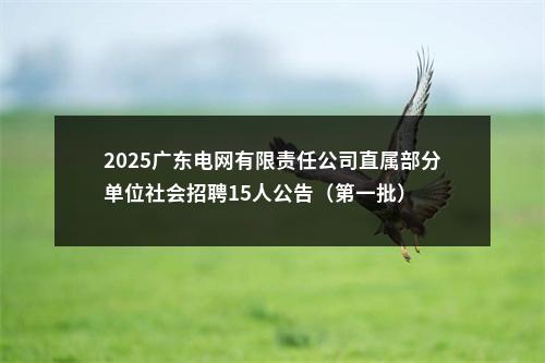 2025广东电网有限责任公司直属部分单位社会招聘15人公告（第一批） 图片